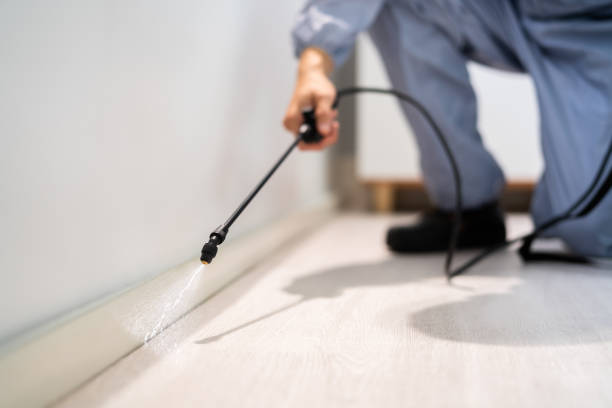 Licensed Fumigation Services service in Fairport, NY - Nex Pest Control
